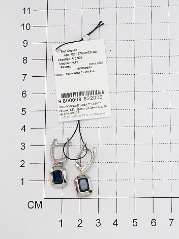 Серьги из серебра 02-1976/0НСЛ-00
