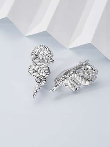 Серьги из серебра 3001029150