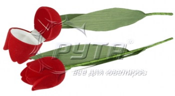 Футляр 40501